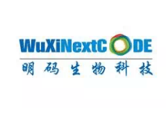 明碼生物科技獲7500萬美元B輪融資，淡馬錫、云鋒基金領(lǐng)投