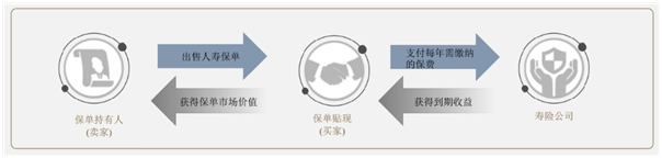 國(guó)內(nèi)投資人跨境投資提速，保單貼現(xiàn)或成另類投資新寵