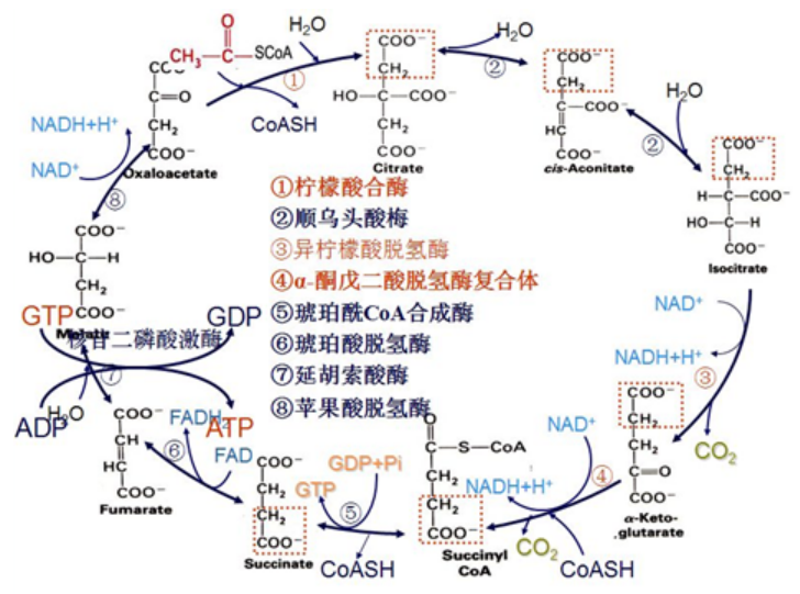 微信截圖_20210408094405.png