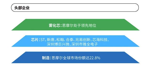 2022年電子霧化產(chǎn)業(yè)白皮書發(fā)布，思摩爾技術(shù)研發(fā)制造三大領先地位獲肯定