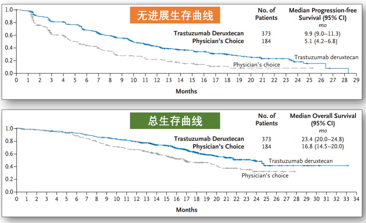 復(fù)旦張江研發(fā)的注射用FDA022抗體偶聯(lián)劑I期臨床試驗獲受理