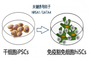 華衛(wèi)恒源完成數(shù)千萬Pre-A+輪融資