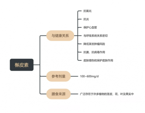 被低估的槲皮素，被稱為抗新冠的營養(yǎng)素黑馬？