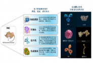 澤維生物完成千萬元天使輪融資