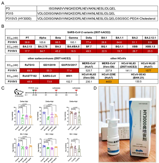 SCLS｜一種冠狀病毒廣譜多肽抑制劑有效抑制新冠病毒感染