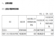 “閃崩”跌停！游戲龍頭業(yè)績(jī)暴雷，嘉實(shí)基金踩雷